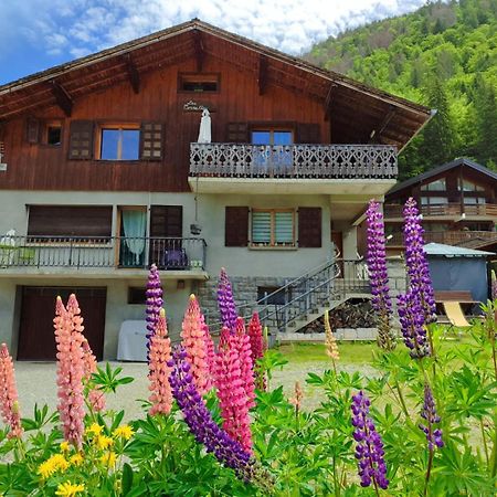 Appartement Meuble Classe 3 Etoiles De 72 M2, 2 Chambres Morzine Bagian luar foto