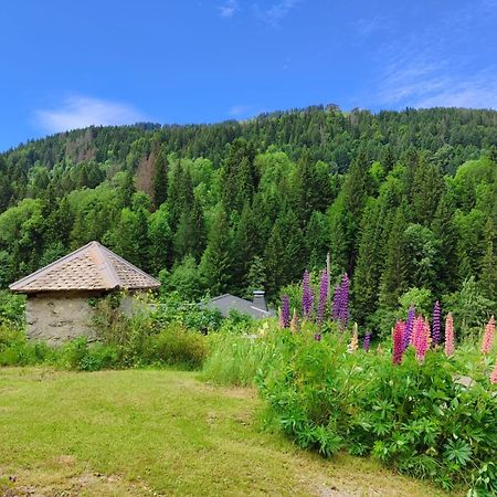 Appartement Meuble Classe 3 Etoiles De 72 M2, 2 Chambres Morzine Bagian luar foto