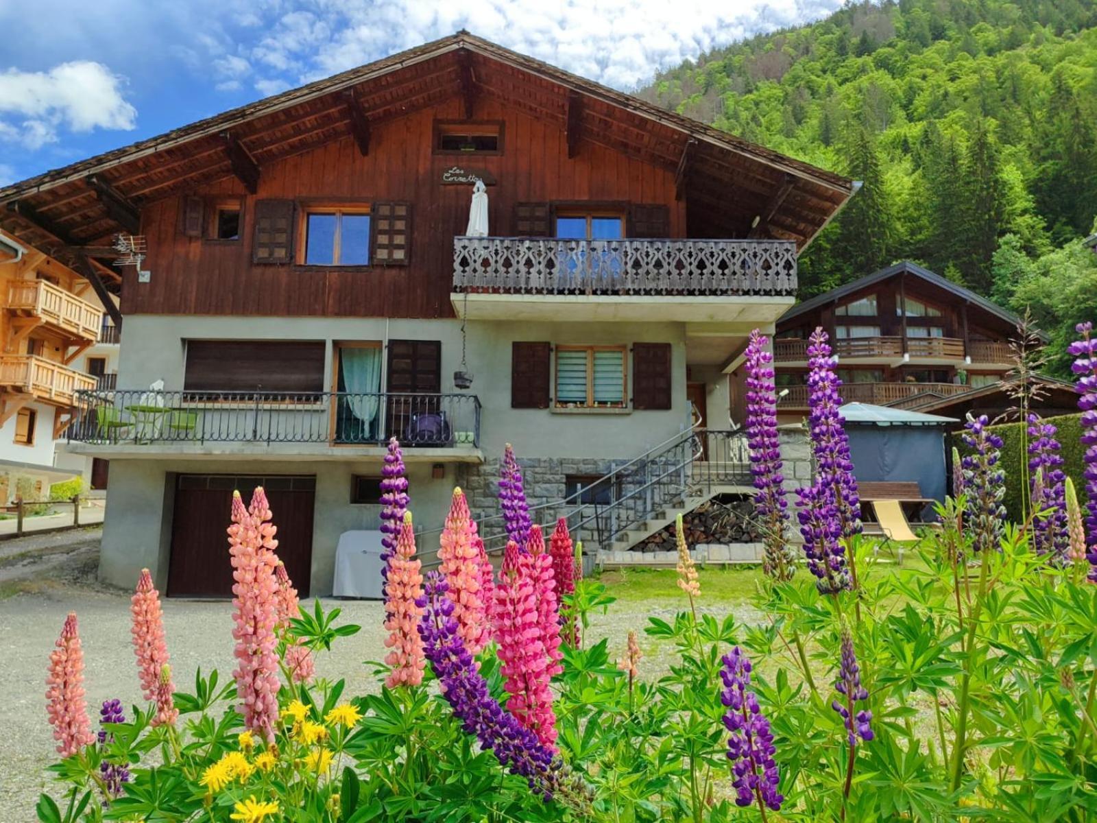 Appartement Meuble Classe 3 Etoiles De 72 M2, 2 Chambres Morzine Bagian luar foto