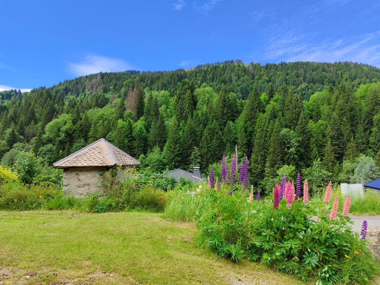 Appartement Meuble Classe 3 Etoiles De 72 M2, 2 Chambres Morzine Bagian luar foto